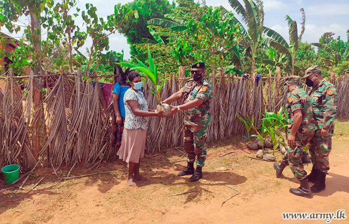 'Thuru Mithuru-Nawa Ratak' in Kilinochchi Distributes 100 Coconut Seedlings