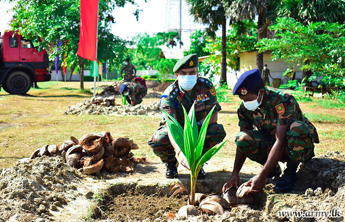 66 வது படைப்பிரிவினால் தென்னம் கன்று நடுகை பணிகள் பொறுப்பேற்பு  