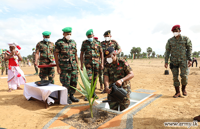 දිවයින පුරා පොල් වගා කිරීමේ ව්‍යාපෘතියට සමගාමීව යාපනයේ පොල් පැල 700 ක් රෝපණය කරයි