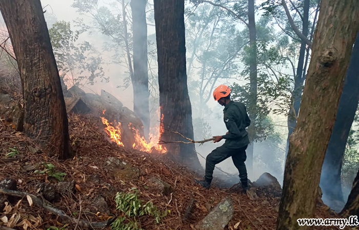 Troops with Air Force Assistance Extinguish Forest Fire
