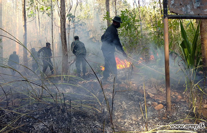 Forest Fire Extinguished