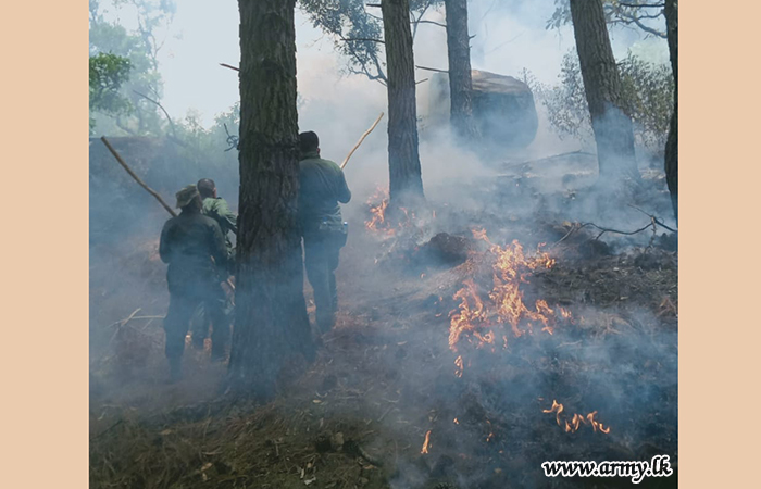 Bushfire Extinguished 