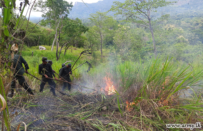 Forest Reserve Bushfire Extinguished 