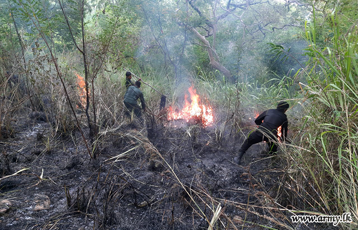 One More Bushfire Extinguished