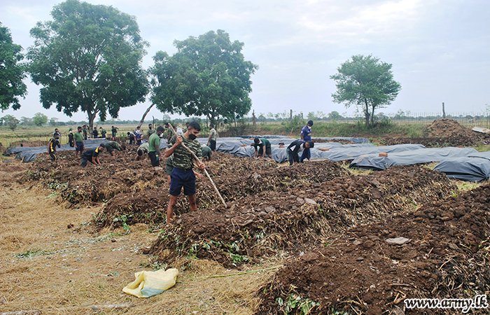 SFHQ-East & Its Divisions at Work to Produce Organic Fertilizer 