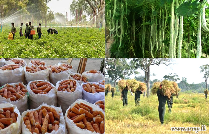 Diversified Mega Agriculture, Afforestation, Farming & Livestock Projects of the Army Bear Fruits