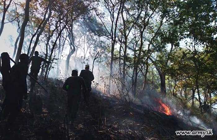 SF Central Troops Extinguish Bushfires in Kumbukkana & Welimada Areas