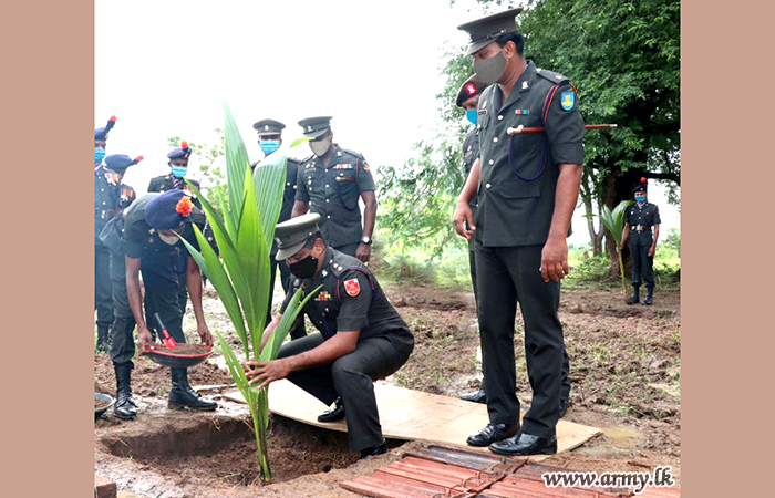 SLAGSC Troops Cultivate More Coconut Saplings