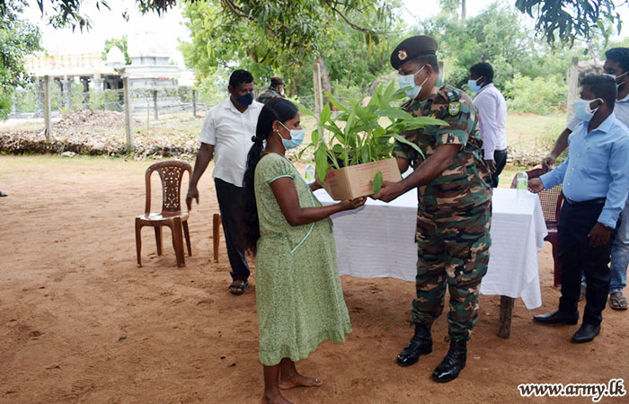 20 குடும்பங்களுக்கு 400 மஞ்சள் செடிகள் பகிர்ந்தளிப்பு