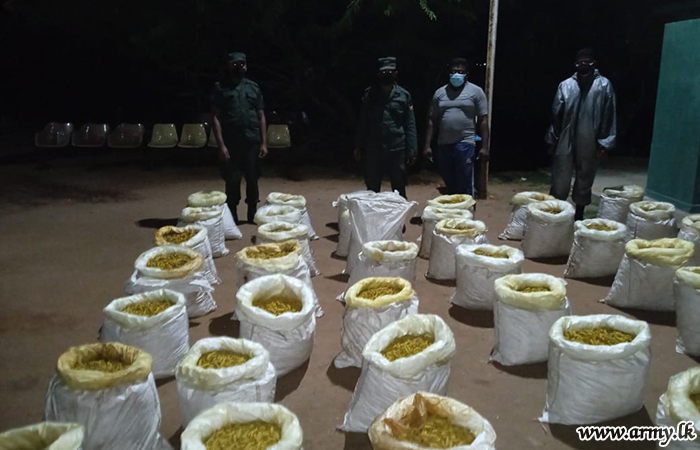 Mannar Troops Apprehend Suspects & Smuggled Turmeric Stocks