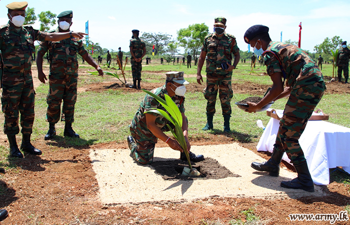 යුද්ධ හමුදා සංවත්සරය සනිටුහන් කරමින් ආරක්‍ෂක සේනා මූලස්ථානය - නැගෙනහිර භටපිරිස් පොල් පැළ 2000 ක් සිටුවති