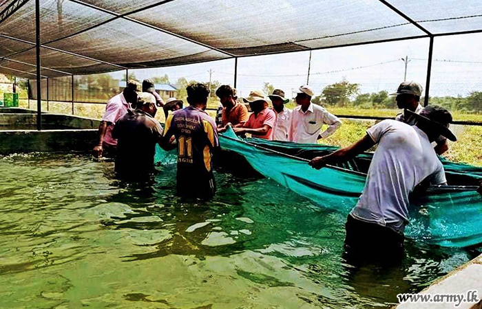 கந்தகாடு இராணுவ பண்ணையில் அலங்கார மற்றும் நன்னீர் மீன் வளர்ப்பு திட்டம் ஆரம்பம்