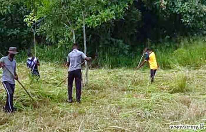 7 SLSR Troops Clean Temples