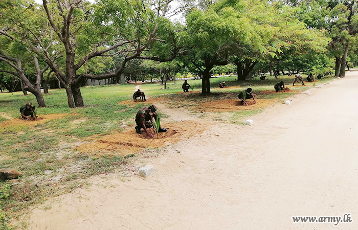 553 Brigade HQ Plants Saplings inside Compound