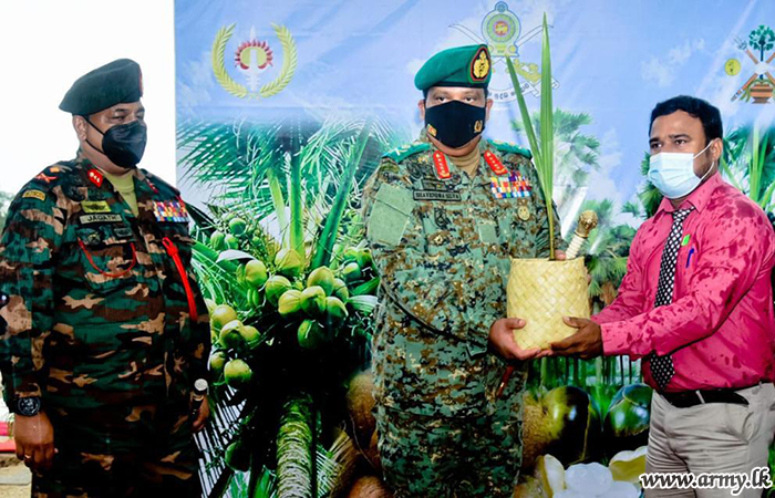 51 Division Plants 800 Coconut Saplings inside Palaly Army Farm