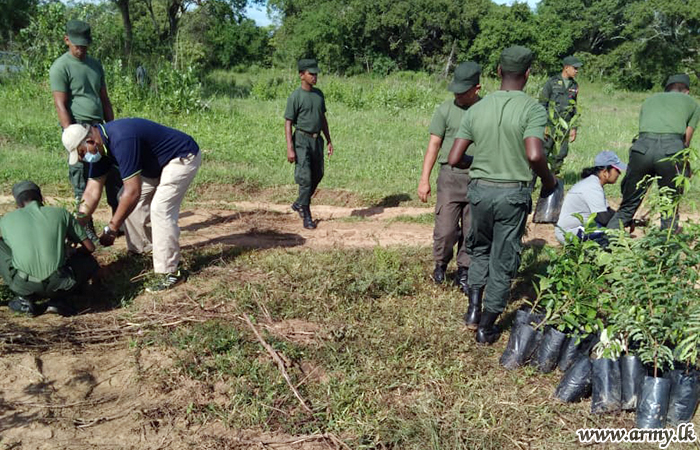 121 Brigade Troops Plant 2600 Saplings