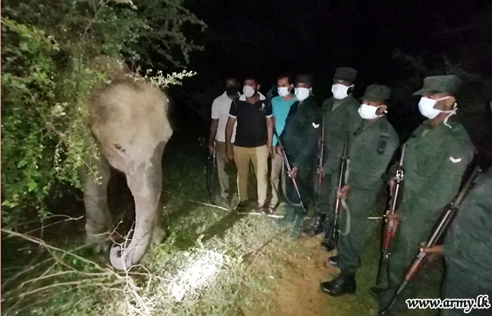 1 GW Troops Rescue Baby Elephant, Kept Tied at Udawalawe National Park