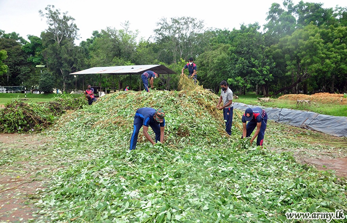 ESTS in Galayaya Plants Saplings & Begins Fertilizer Production