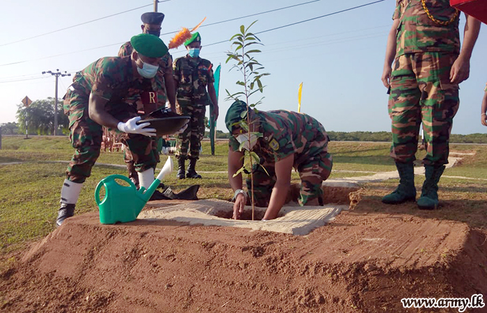 Troops Plant 'Kumbuk' Saplings along Roadsides