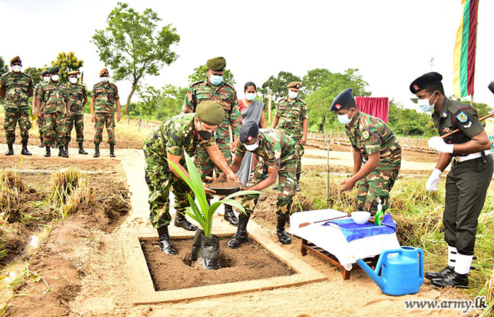 යුද්ධ හමුදා භටපිරිස් සියලු යුද්ධ හමුදා කඳවුරු ආවරණය වන පරිදි පොල් පැල 100,000 ක් නිෂ්පාදනය කිරීම ආරම්භ කරයි 