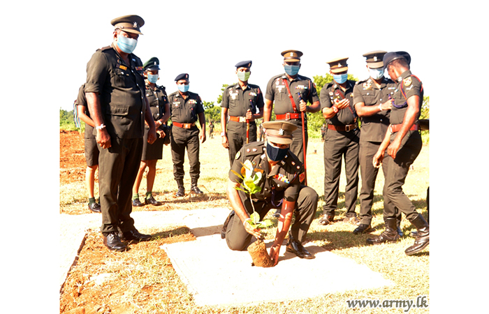 இலங்கை இராணுவ பொதுச் சேவை படையணி  குட்டிகலையில் மர முந்திரிகை  நடுகை