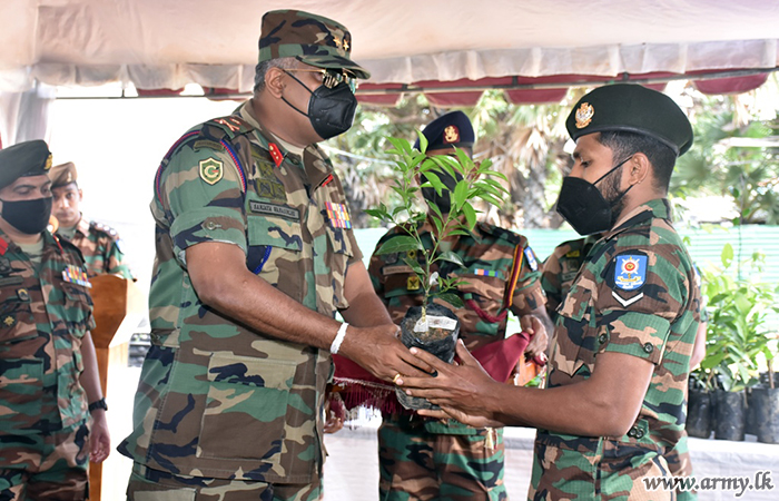 66 வது படைப்பிரிவின் பசுமை இல்லத்தில் சிறந்த விளைச்சல்