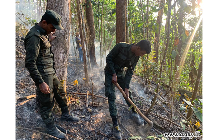 8 SLSR Troops Extinguish Bush-Fire at Sembuwatte Forest