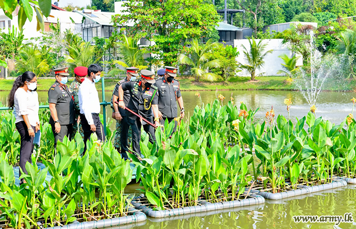 යුද්ධ හමුදා මුලස්ථානයට ප්‍රවිශ්ට වන මාර්ගය දෙපස තෙත්බිම් වලට ‘පරිසර හිතකාමි ජලශාක වගා’ ව්‍යාපෘතියක්