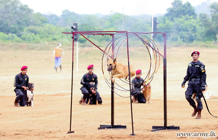 ත්‍රාසය, උද්‍යෝගය සහ විස්මය පිරි කමාන්ඩෝ භටයින් විසිරයාමේ පෙළපාලියට පැමිණ සිටි සියලුදෙනා මවිතයට පත් කරයි 