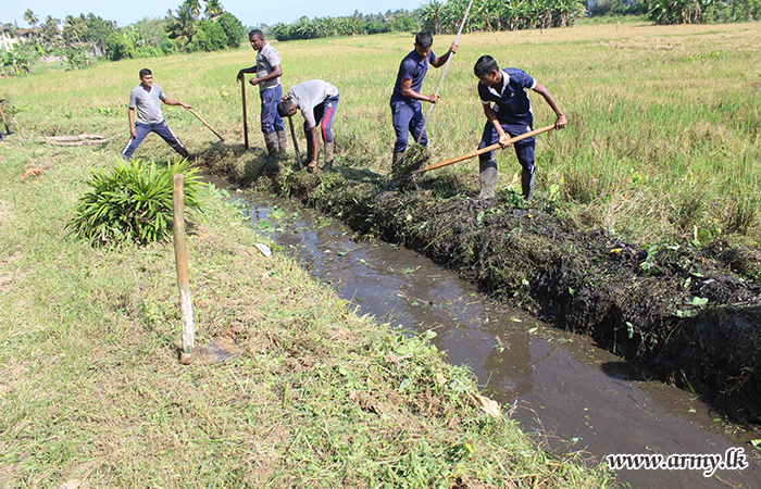 2 (V) SLLI Troops Enable Cultivation of 25 Acres of Abandoned Paddy Fields