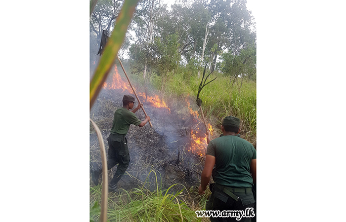  121 වන බලසේනාවේ භටපිරිස් හොරොම්බුව ප්‍රදේශයේ හදිසියේ ඇතිවූ ලැව් ගින්නක් මැඩපවත්වයි