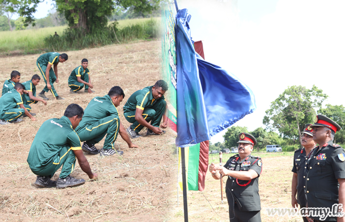 Army Inaugurates Stage 1 of Maize Cultivation in Niraviya Farm