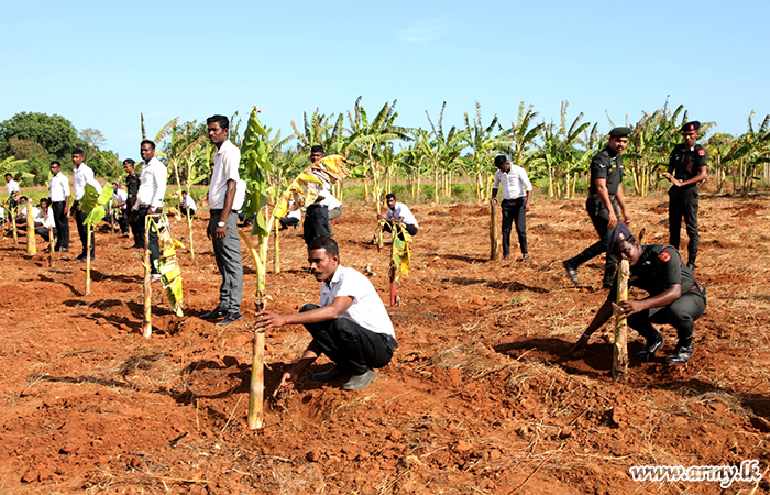 ආරක්‍ෂක සේනා මූලස්ථානය - යාපනය, ජාතික ආහාර සුරක්‍ෂිතතා වැඩසටහනට දායක වෙයි