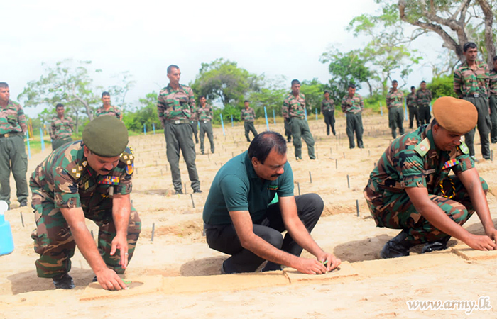 කන්දකාඩු යුද්ධ හමුදා ගොවිපල තුළ පිපිඤ්ඤා වගාව ආරම්භ කරයි