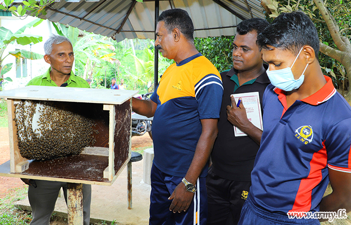 ශ්‍රී ලංකා යුද්ධ හමුදා ස්වේච්ඡා බලසේනාවේ භටපිරිස් ‘මී මැසි පාලනය’ පිළිබඳ දැනුවත් කෙරේ