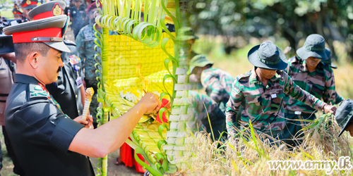 Commander Joins Reaping Ceremony of Golden Harvest Near Army HQ