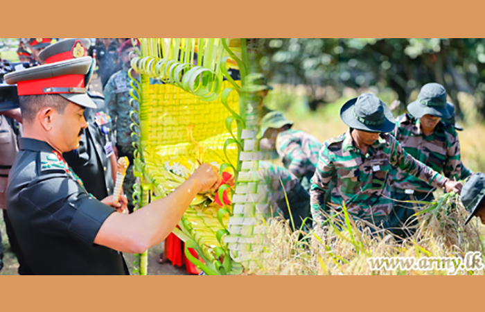 Commander Joins Reaping Ceremony of Golden Harvest Near Army HQ