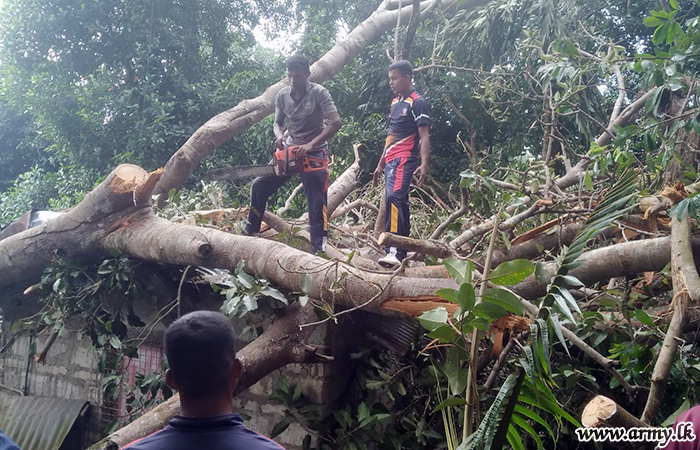 14 (V) GW Troops Remove Tree Fallen on Houses