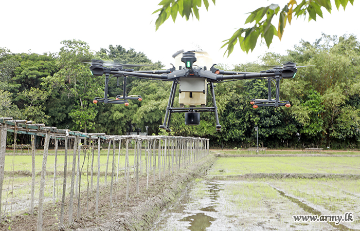 Army Uses Drones for Spraying Insecticides & Herbicides on Paddy Cultivations
