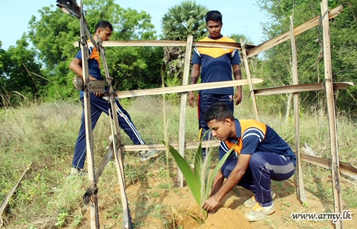 Jaffna Troops Plant Saplings along A9 Road