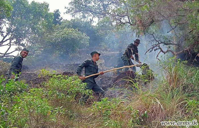 8 GW Troops Extinguish Bush-Fire in Godakumbura Forest Area