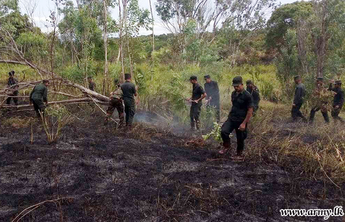 231 Infantry Brigade Troops Help Douse Habarana Forest Fire