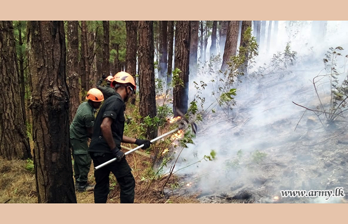 යුද්ධ හමුදා භටපිරිස් උඩුදුම්බර ප්‍රදේශයේ ඇති වූ ලැව්ගින්නක් මැඩපවත්වයි