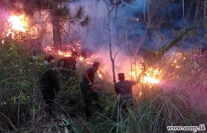 Central Troops Busy Dousing Raging Wildfires 