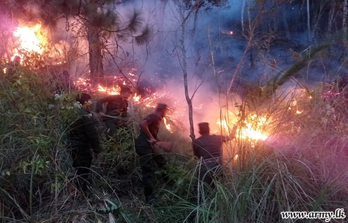 ආරක්‍ෂක සේනා මූලස්ථානය - මධ්‍යම  භටපිරිස් සිය බලප්‍රදේශයේ හටගත් ලැව්ගිනි මැඩපවත්වයි