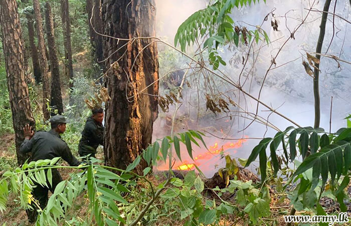 West Troops Douse Spreading Bush Fire at Kongahamankada, Kalthota