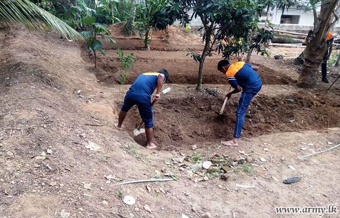 6 Field Regiment SLA Troops Clear Unattended Herbal Garden & Plant New Saplings