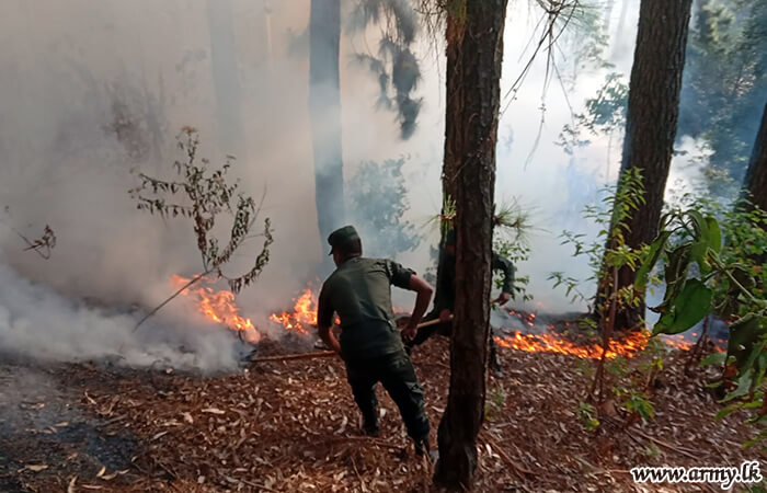 Central Troops Douse Spreading Bushfire in Haputale 