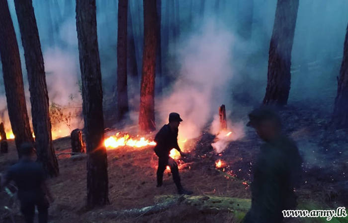 Central Troops Control Wildfire in Fox Hill