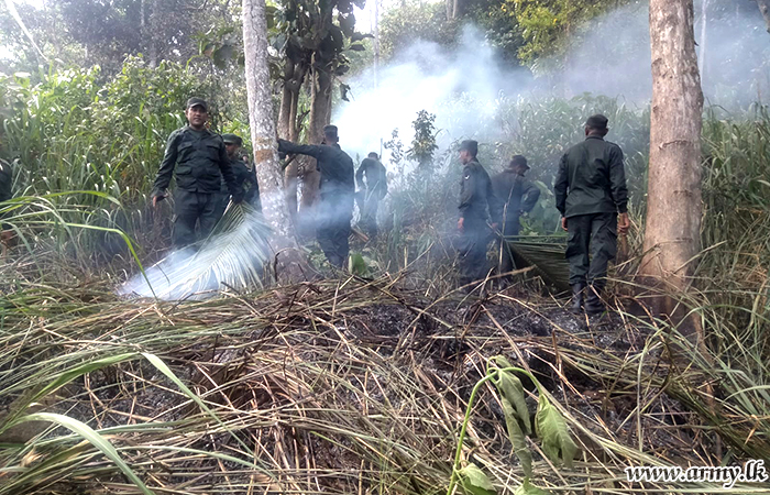 Army Members Bring Forest Fire in Keragala under Control